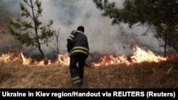 Лісова пожежа в зоні відчуження навколо Чорнобильської АЕС, квітень 2020 року