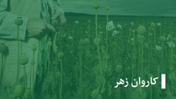  داکتران: با استفاده از مواد مخدر انسان کنترول بر حرکات بدنش را از دست میدهد 