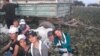 Uzbek Officials: Pick Cotton Before Marrying