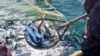 В Азовському морі рибу ловлять і українські і російські рибалки. Як вирішувати спірні питання з країною, яка окупувала Крим?