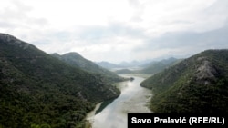 Skadarsko jezero predstavlja najveći jezerski rezervat u Evropi. U njemu živi oko 50 vrsta vrsta ribe