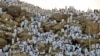 Muslims Begin Hajj Ascent