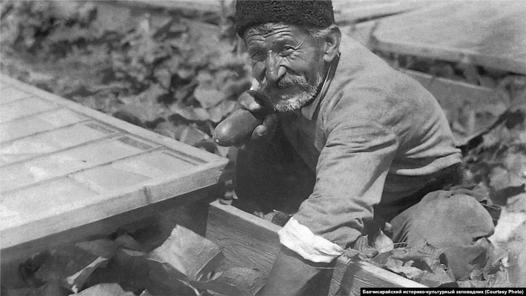 Городник, 1930-ті. Городництво в Криму через клімат ніколи не мало товарного масштабу, але овочі для власного споживання вирощували. В кримськотатарській кухні є і стандартні салати з капустою, огірками та морквою, і ексклюзивні страви. Наприклад, бувають голубці з виноградним листям, капустою або перцем. Також овочі додають у баранячий суп (лагман)