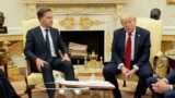 Президент США Дональд Трамп во время встречи с генеральным секретарем НАТО Марком Рютте объявляет о намерении ввести "жестокие" санкции против России и стран, закупающих российские энергоносители