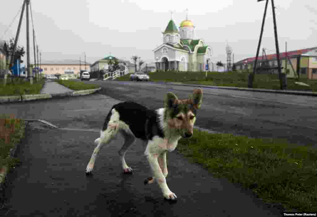 Кунашир &ndash; один из четырех островов, который Токио называет Северной территорией. Он расположен всего в 20 километрах от Японии&nbsp; &nbsp; &nbsp;