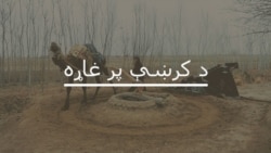 د صحت نړیواله ورځ‌ او د قبايلي ضلعو حالت