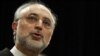 Iran Offers To Extend IAEA Inspection
