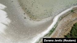 Gružansko jezero, 23. jul 2025.