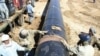 Iraqi Crude Oil Flowing Through Turkey