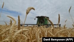 Иллюстрация сүрөт.