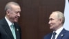 Упродовж останніх тижнів Ердоган неодноразово говорив, що хоче поговорити з Путіним про поновлення зернової угоди